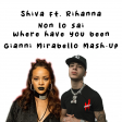 Shiva ft. Rihanna - Non lo sai where have you been (Mirabello Mash-Up)