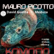 David Guetta x Meduza x Mauro Picotto Musica Komodo Cristian D'eliseo mashup