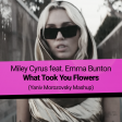 Miley Cyrus feat. Emma Bunton - What Took You Flowers (Yaniv Morozovsky Mashup)