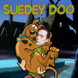Suedey Doo