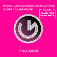 Mitch B., Marcello Mazzoli, Martina Feeniks - I Love The Nightlife (Danny Wild Remix)