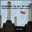 DJ Useo - Learning To Fly So Cool ( Pink Floyd vs Spega vs Hernan Bass )