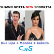 Shawn Gotta New Senorita (CVS 'Frontpage' Mashup) - Dua Lipa + Shawn Mendes + Camila Cabello