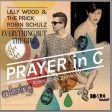 Lilly Wood Robin Schulz vs. Everything But The Girl - Prayer In Missing (Dj Bonura Mash Up)