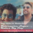 Harry Styles vs. Moshe Perez - Watermelon Sugar Makes My Day (Yaniv Morozovsky Summer Mashup)