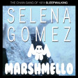 "Sleepwalking Wolves" (Marshmello ft Selena Gomez vs. The Chain Gang of 1974)