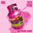 ANNA x Tiesto & Sevenn - BOOM GASOLINA (Alex Prigenzi Mashup)