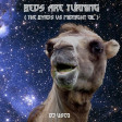 DJ Useo - Beds Are Turning ( The Byrds vs Midnight Oil )