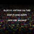 Alok Vs. Vintage Culture - Deep In Your Agape (Jack Vibe Mashup)
