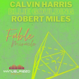 Calvin Harris & Ellie Goulding VS Robert Miles - Fable Miracle (Manuel Rizzo DeeJay Mashup)