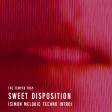 The Temper Trap - Sweet Disposition (SIMON Melodic Techno Intro)