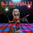 DJ Schmolli - The Trooper Freestyler [2018]