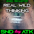 Sound_Attack - Real Wild Thinking (Dierks Bentley ⇋ Everlife) [2020 Remaster]