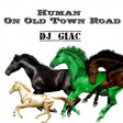Lil Nas X ft. Billy Ray Cyrus vs Rag'n'Bone Man - Human On Old Town Road (DJ Giac Mashup)