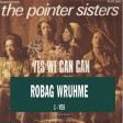 Robag Wruhme vs Pointer Sisters - Yes yes we can can (Bastard Batucada Simsim Mashup)