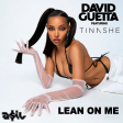 David Guetta feat. Tinashe - Lean On Me (ASIL Mashup)