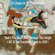 DJ Useo vs DJ Petrushka - That's The Way I Run Through The Jungle ( KC & The Sunshine Band vs CCR )