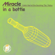 Miracle in a Bottle (Ellie Goulding & Calvin Harris x The Police)