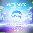 Martin Solveig & The Cataracs Feat. Kyle / Hey Now • Dani B. & DJ Blitz Vs Andry J Rmx