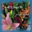 "All Of Perfect Me" - John Legend Vs. Ed Sheeran  [produced by Voicedude]