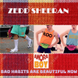 Bad habits are beautiful now (Zedd vs Ed Sheeran) - 2021