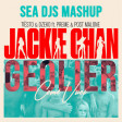 Geolier vs Tiesto & Post Malone - Come Vuoi Jackie Chan (SEA DJs Mashup)