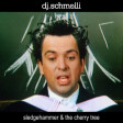 DJ Schmolli - Sledgehammer & The Cherry Tree [2008]