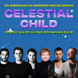 Ed Sheeran vs Swedish House Mafia - Celestial Child (Sergio Mauri & Dino Brown Mashup) extended