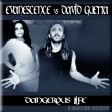 Dangerous Life (Evanescence vs David Guetta ft Sam Martin)