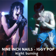 DoM - Night burning (NINE INCH NAILS vs IGGY POP)