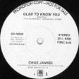 116 - Chas Jankel - Glad To Know You (Silver New Regroove)