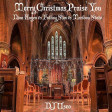 DJ Useo - Merry Christmas Praise You ( Nina Hagen vs Fatboy Slim vs Maribou State )