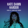 HateDamnHarder (Kesha vs. Taking Back Sunday)