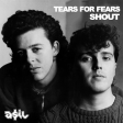 Bolier & Joe Stone feat. Tears For Fears - Shout (ASIL Mashup)