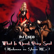 What Is Devil Pray Soul ( Madonna vs Stereo MCs )