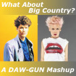 DAW-GUN - What About Big Country (Pink vs Big Country)