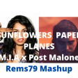 Rems79 - Sunflower papers - (Mia X Swae Lee/Post Malone)