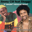 Jimmi Cliff vs Shaggy - it wasn't reggae night  (Andrea Cecchini - Luka J Master - Steve Martin