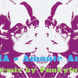 Mina - Amante Amore (Remix by Funkyfull)