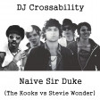 DJ CROSSABILITY - Naive Sir Duke (The Kooks vs. Stevie Wonder)
