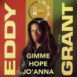Eddy Grant - Gimme Hope Jo Anna (Soulful Mashup)