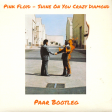 Pink Floyd - Shine On You Crazy Diamond (Paar Bootleg)