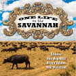 One Life On The Savannah (Erasure vs One Republic vs Bryan Adams vs One Direction)