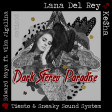 Dark Stereo Paradise (Tiesto vs. Lana Del Rey vs. Edward Maya vs. Ke$ha)