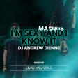 I'm Sexy And I Know It (Andrew Dienne Mashup)