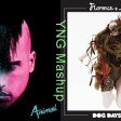 Animal Days Are Over (Neon Trees Vs. Florence + The Machine)