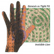 Xam - The Invisible Lion (Tight Fit vs. Genesis)