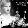 DJ Schmolli - Stay The Night With The Police