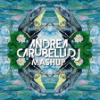 Leroy Styles VS Birdy - Karusell_Keeping Your Head Up (Andrea Carubelli DJ Mashup)
