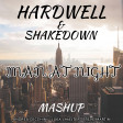 Hardwell vs Shakedown - man at night mashup(Andrea Cecchini - Luka J Master - Steve Martin)